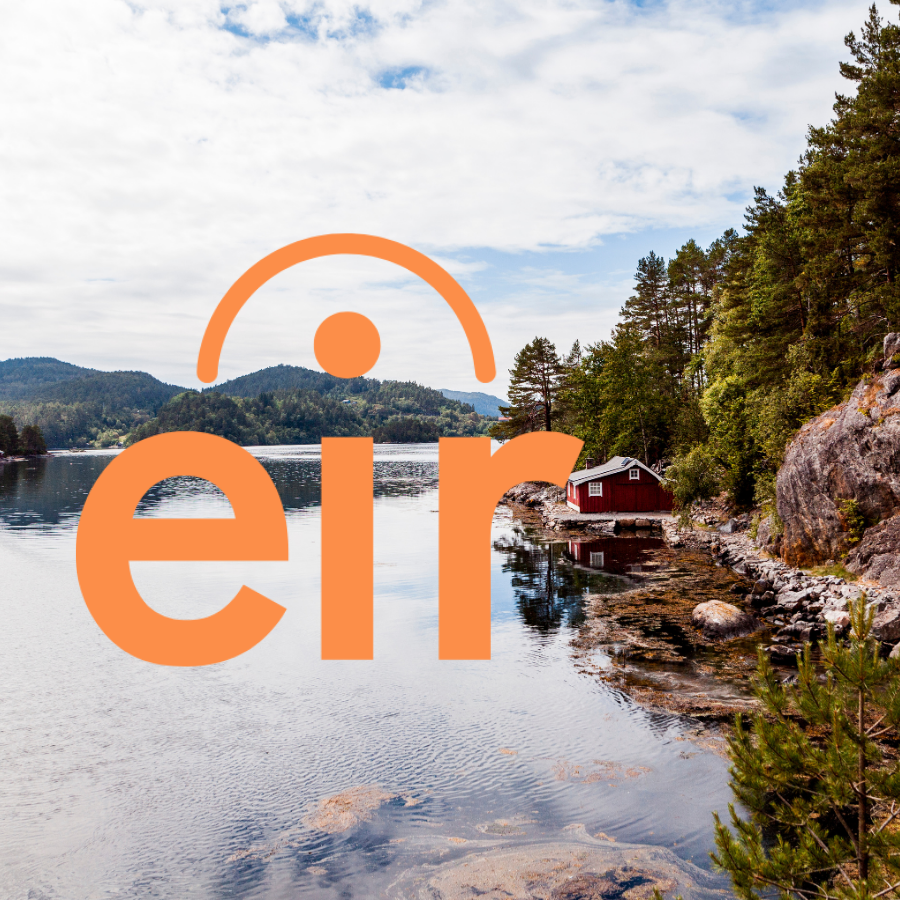 D&S Group en Eir
